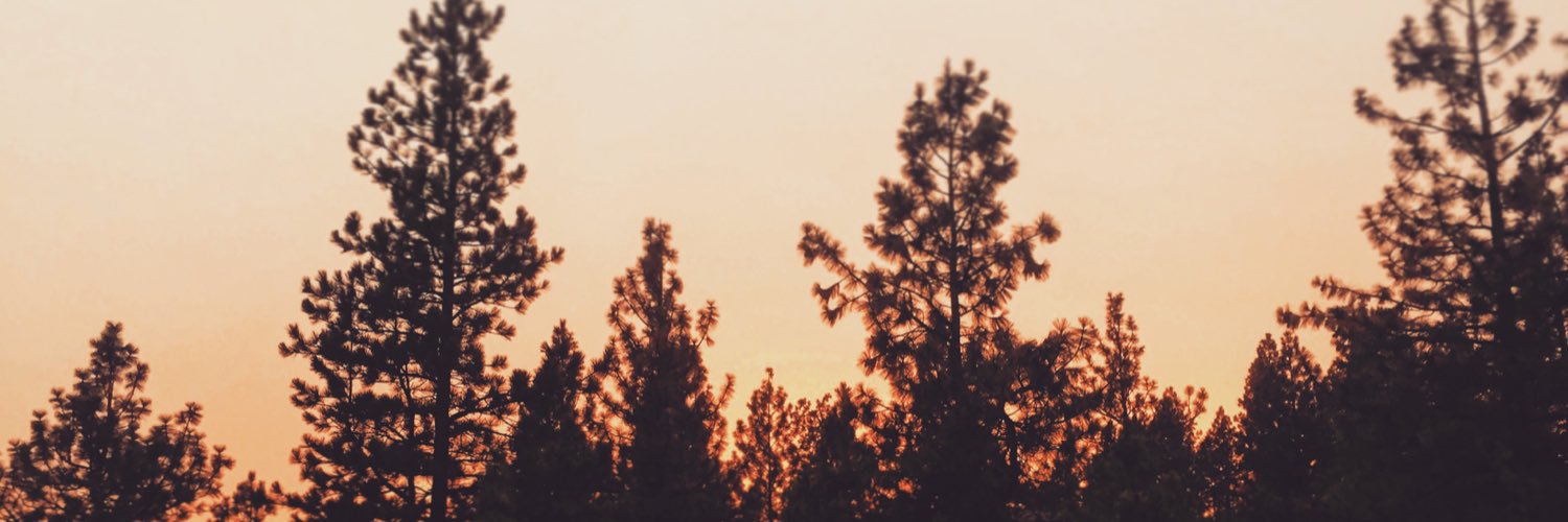 SavBlinn's profile banner image