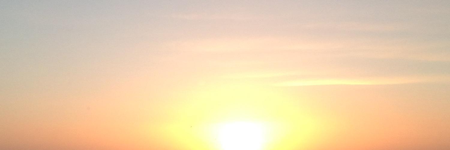 poppybarran's profile banner image