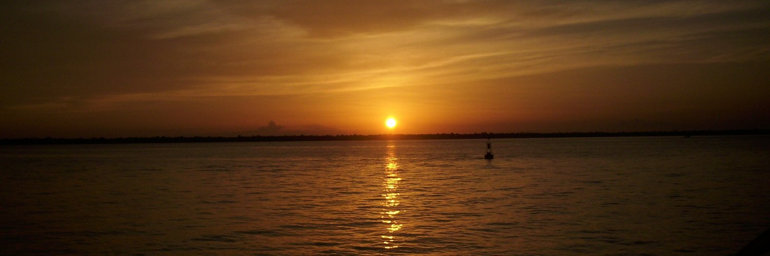 bre_malheiro's profile banner image
