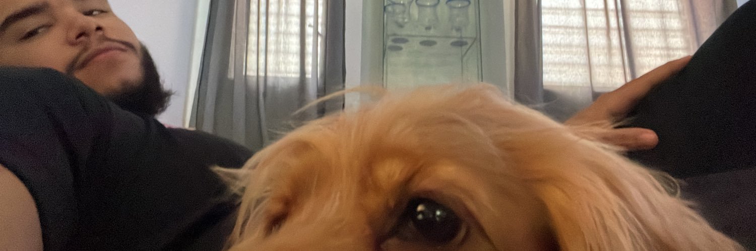 Ricardo Rodriguez banner