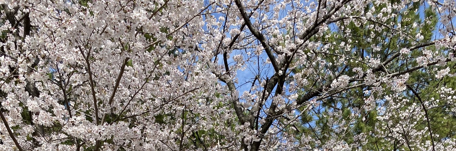 みんとのどあめ banner