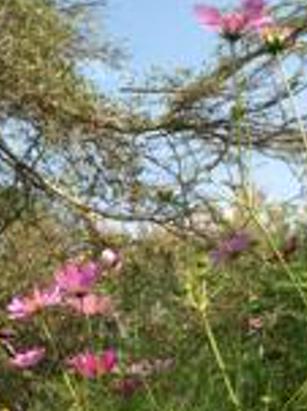 Keith_Mbae's profile banner image