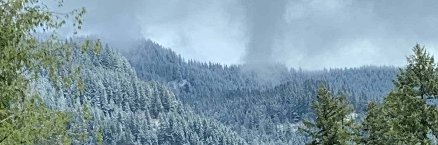 PatenceM's profile banner image