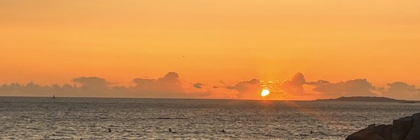 vdrina Profile Banner