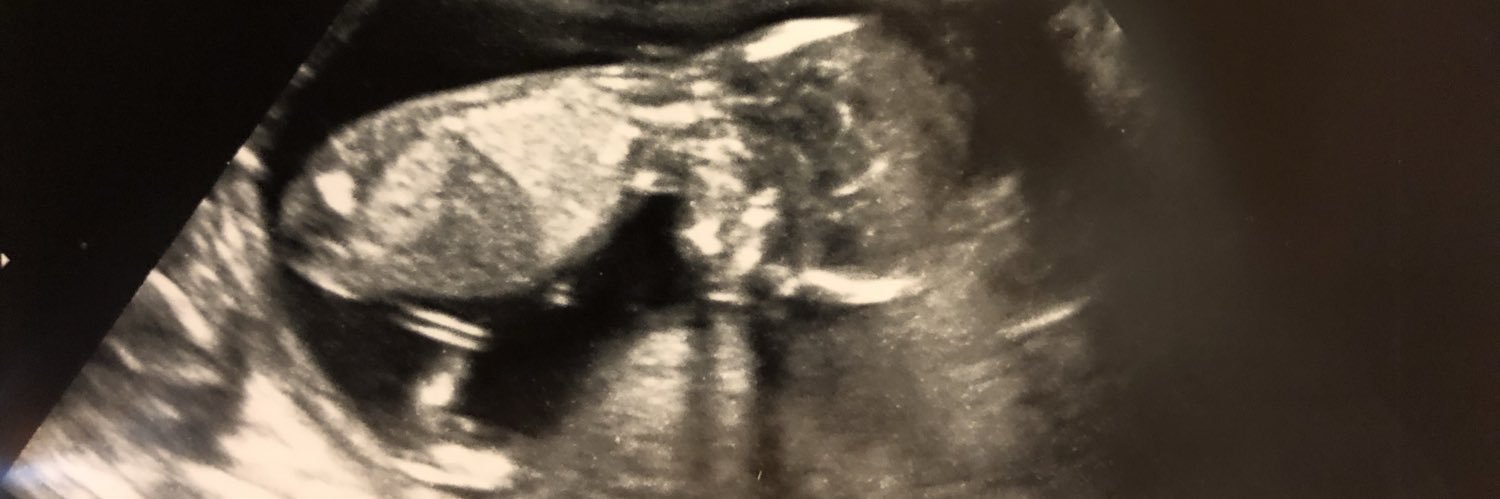 sierramicheleee's profile banner image