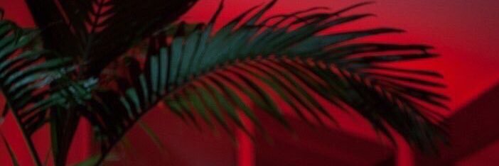 MarissaBettes's profile banner image