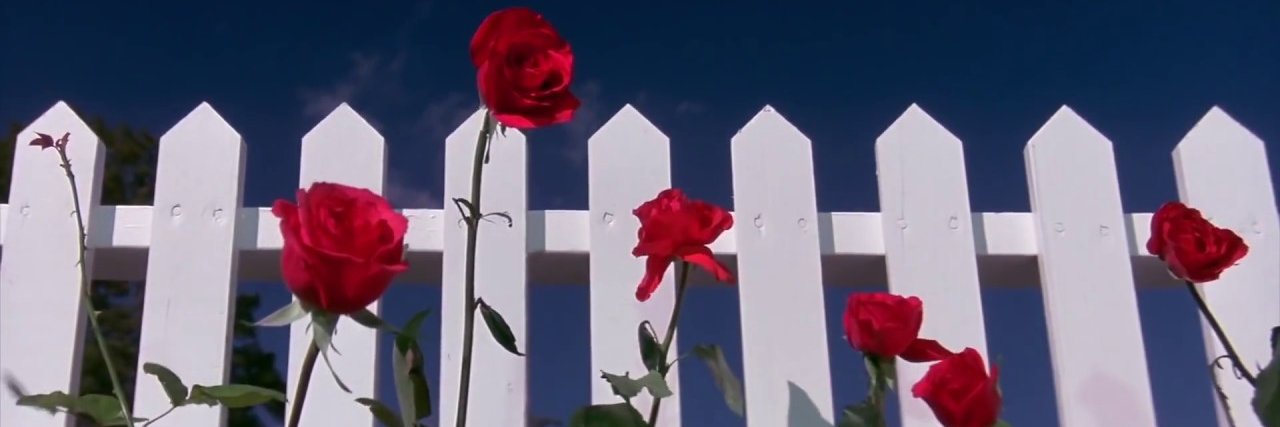 Lady Elevator banner