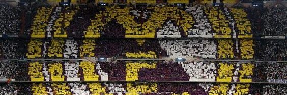 Ali banner