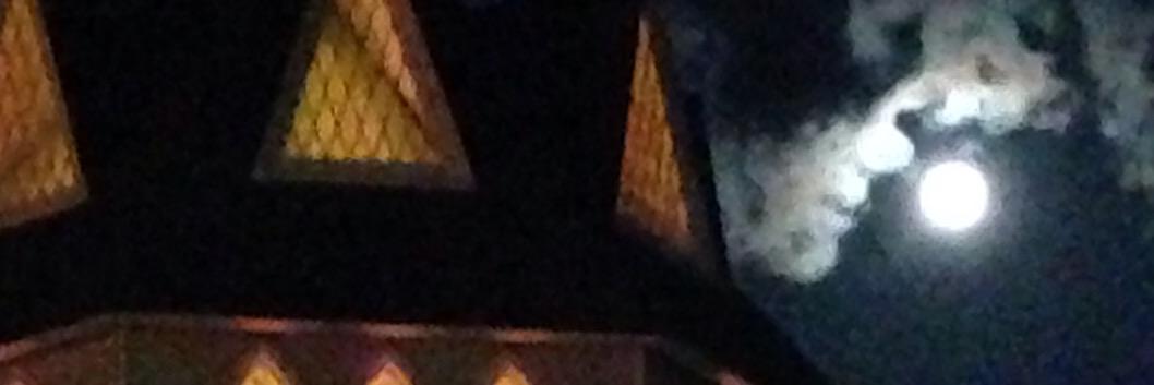 LJCohenMA's profile banner image