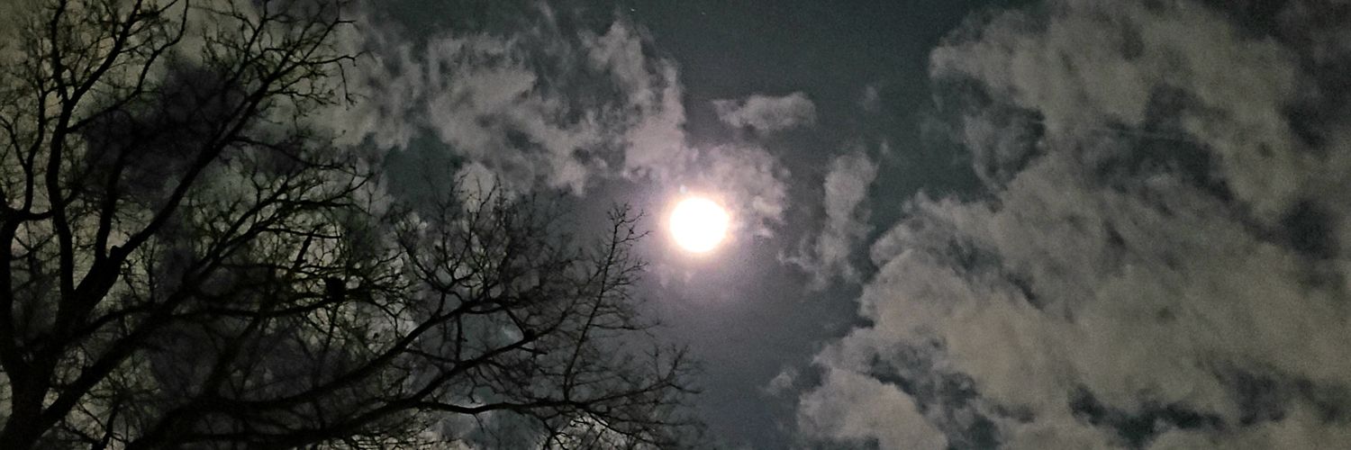 krys2fur's profile banner image