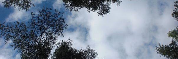 monkpredator04's profile banner image