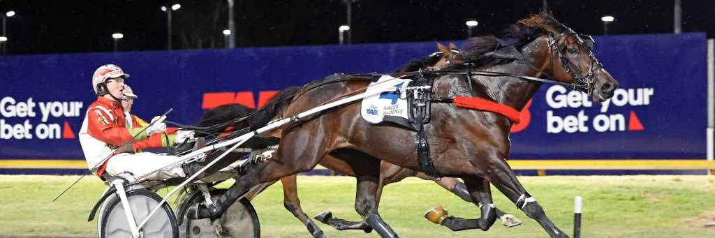 Elizabeth MacLean banner