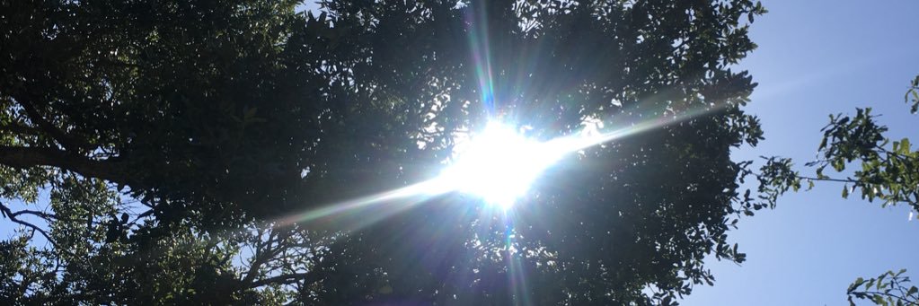 EmBison's profile banner image