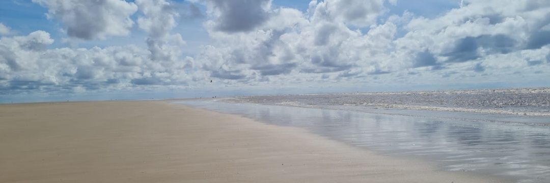 tash 💙☢️ banner