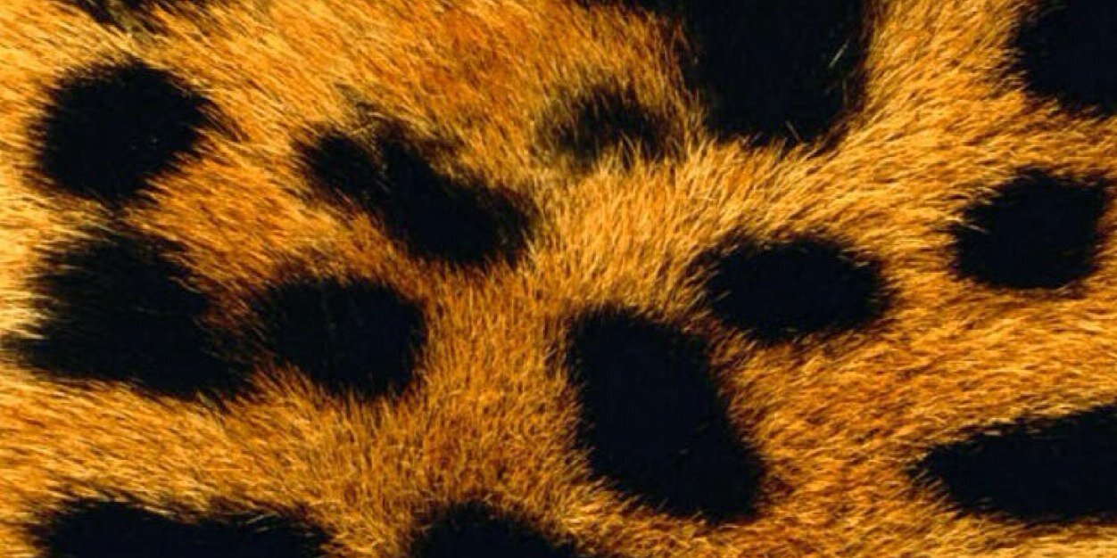 xairojr's profile banner image