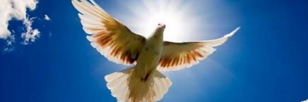 tabasum_muskan Profile Banner
