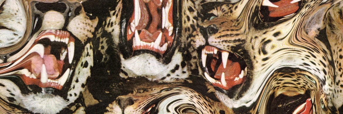 WunHunGuerrilla's profile banner image