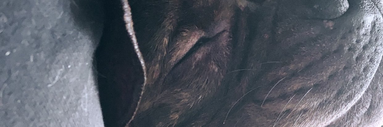 Nat_rios11's profile banner image