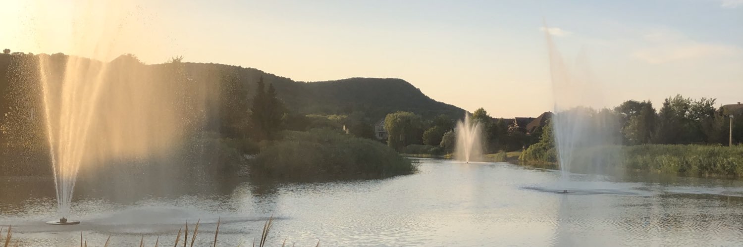 patlechat22's profile banner image