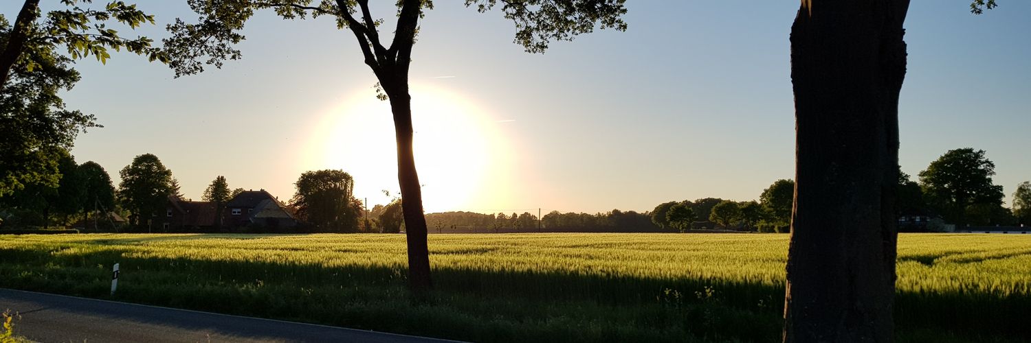 DirkBohl's profile banner image