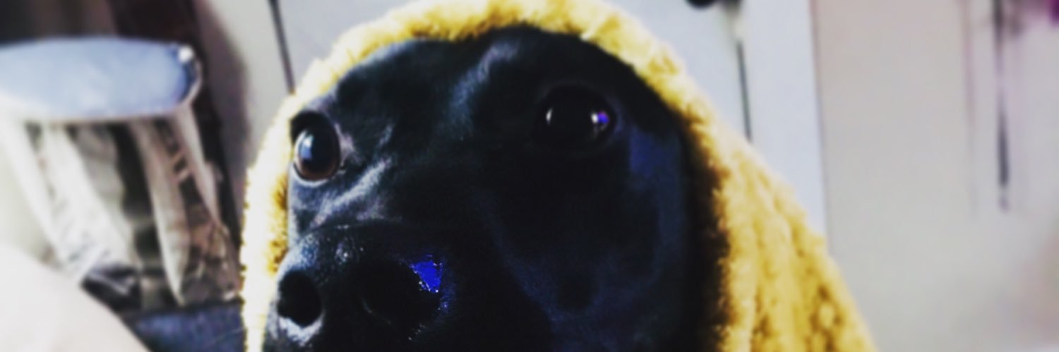 hbailey08's profile banner image