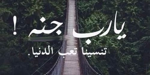 راجح السلولي banner