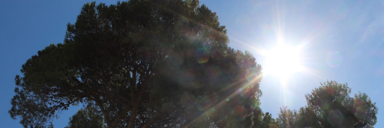 Dr C Palmer-Patel banner