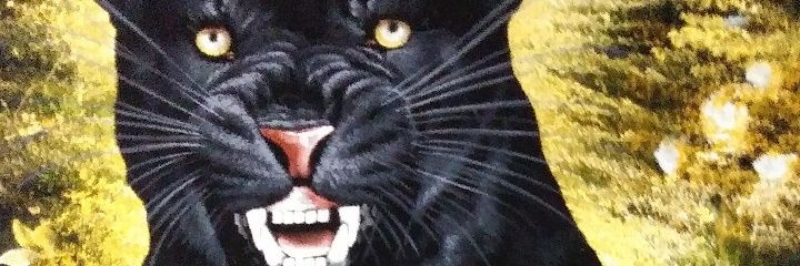 lipssmo's profile banner image