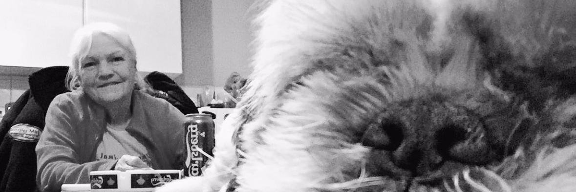 Keets8495's profile banner image