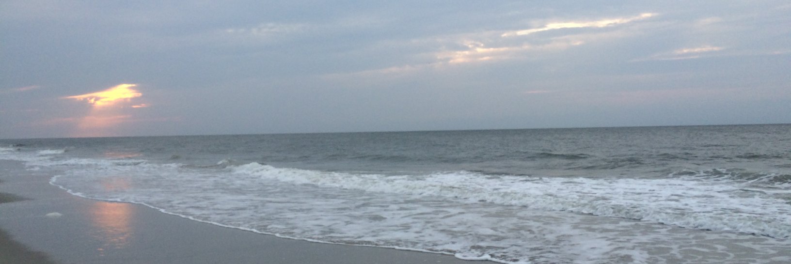 MicheleGleason's profile banner image