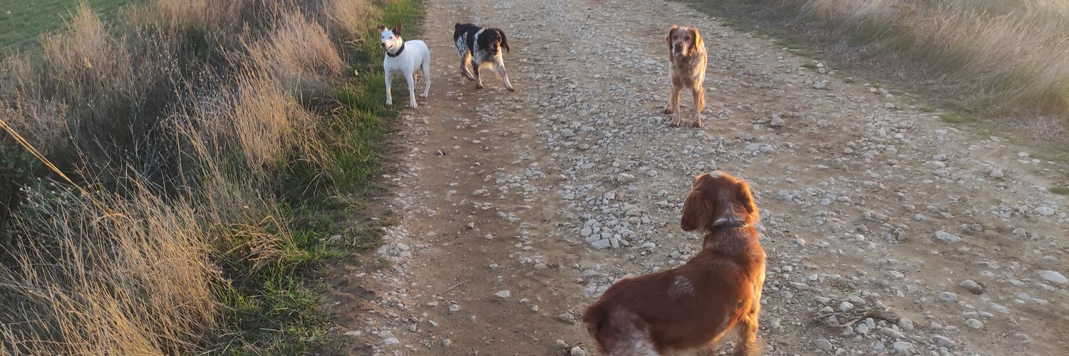 rodr10al's profile banner image