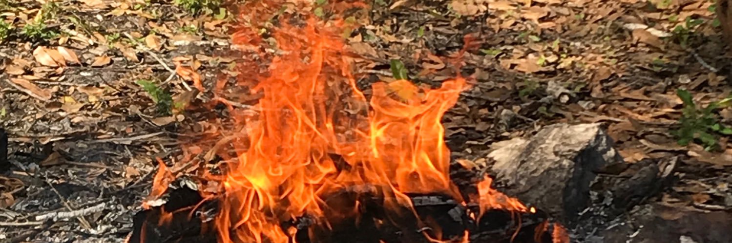 KMEtweet's profile banner image
