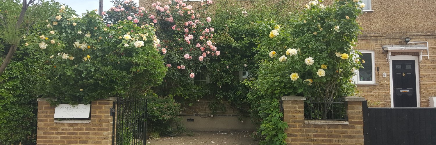 Trevor Hutton banner