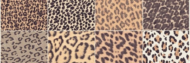 Kristin Williams banner