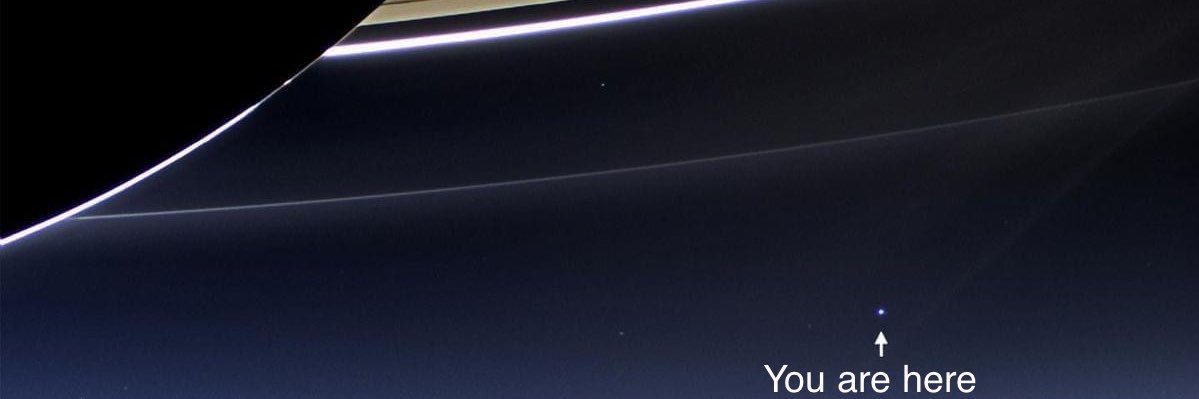 PONDimonium's profile banner image