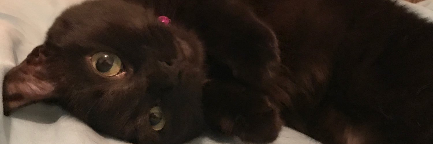 sapdude1's profile banner image