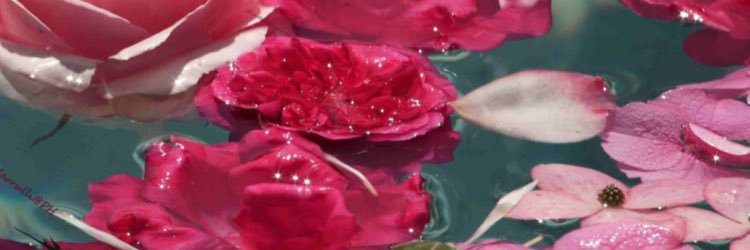 ForeverShanice's profile banner image