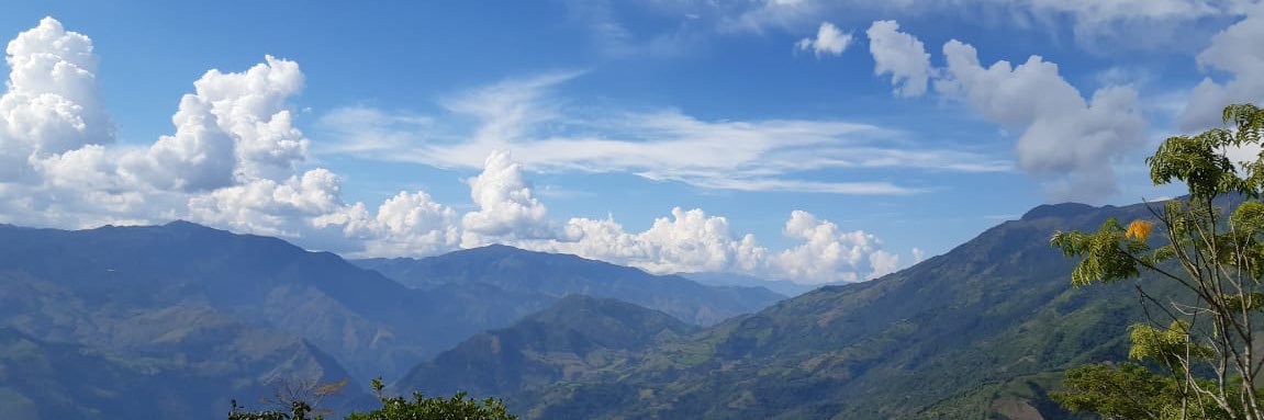 socampoo's profile banner image