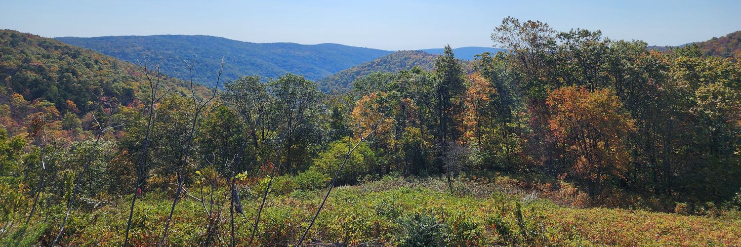 DrStevesob🇺🇸 banner