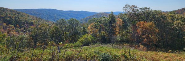 Stevesob2016 Profile Banner