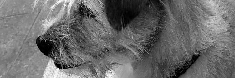 angies328's profile banner image
