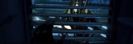 WTFcod94's profile banner image