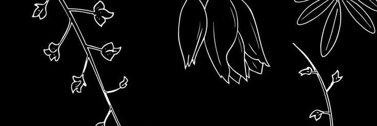 LoaBertero's profile banner image