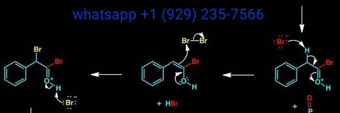 HOMEWORK HELP || CHEMISTRY || STATS||ALGEBRA|| Ⓜ️ banner