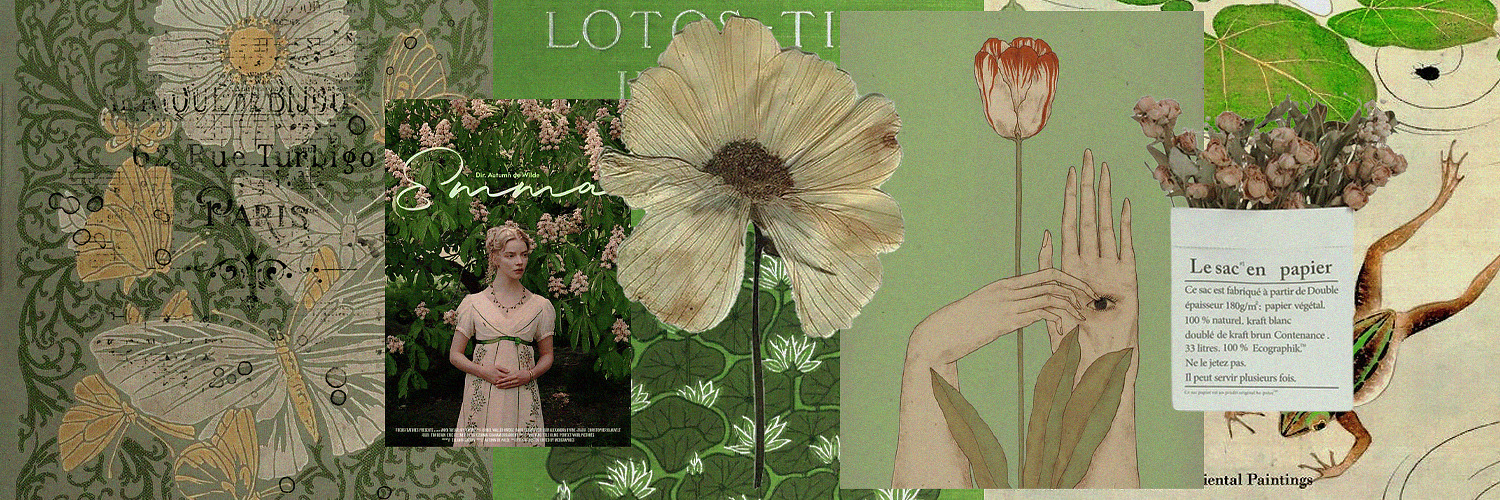 willowstudies's profile banner image