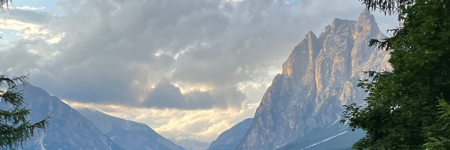 Martina Wiesenbauer-Vrublovsky banner