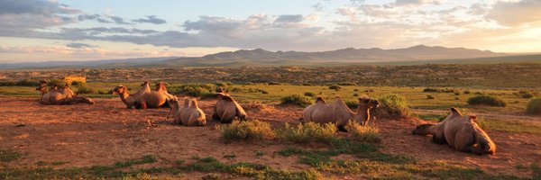 smrbu Profile Banner