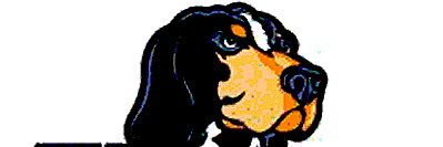 AZVolfan's profile banner image