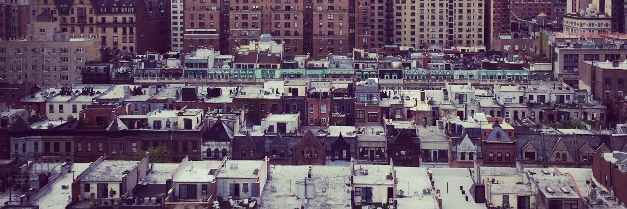 Jenny Carchman banner