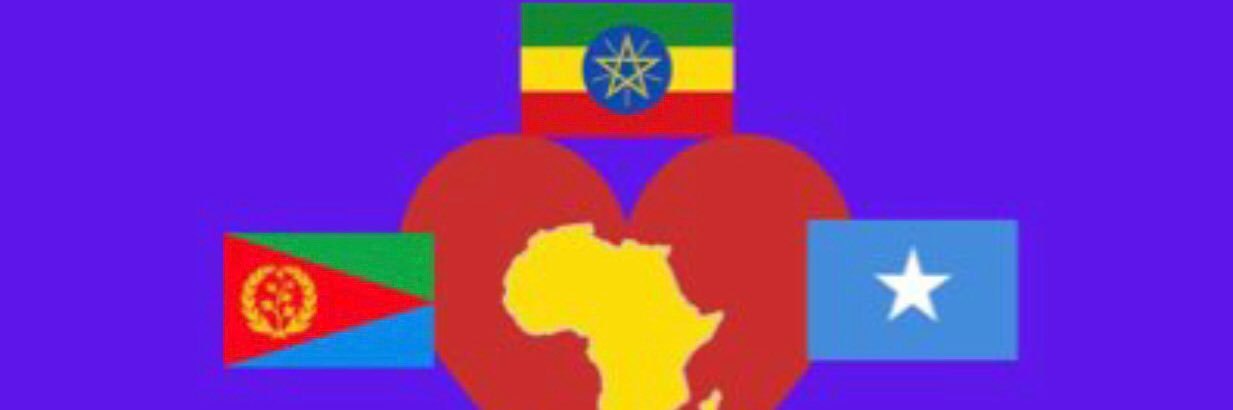 Eritrea banner